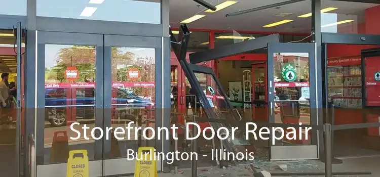 Storefront Door Repair Burlington - Illinois