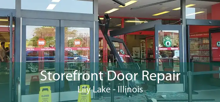 Storefront Door Repair Lily Lake - Illinois