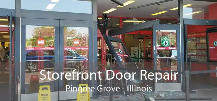 Storefront Door Repair Pingree Grove - Illinois