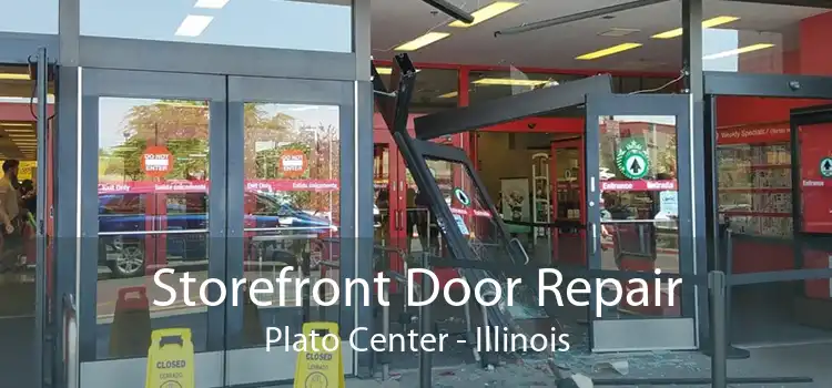 Storefront Door Repair Plato Center - Illinois