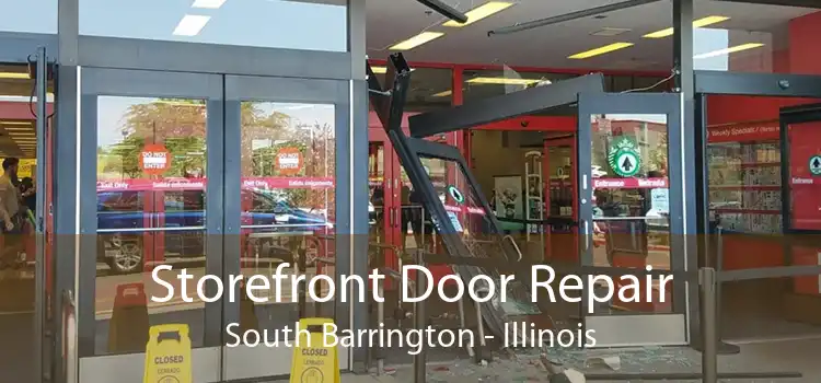 Storefront Door Repair South Barrington - Illinois