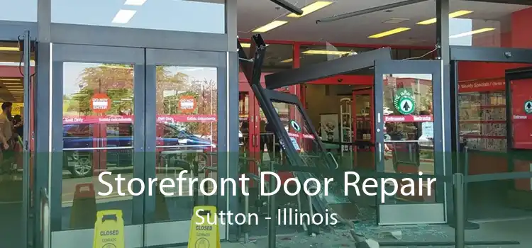 Storefront Door Repair Sutton - Illinois