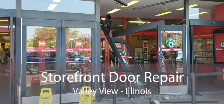 Storefront Door Repair Valley View - Illinois