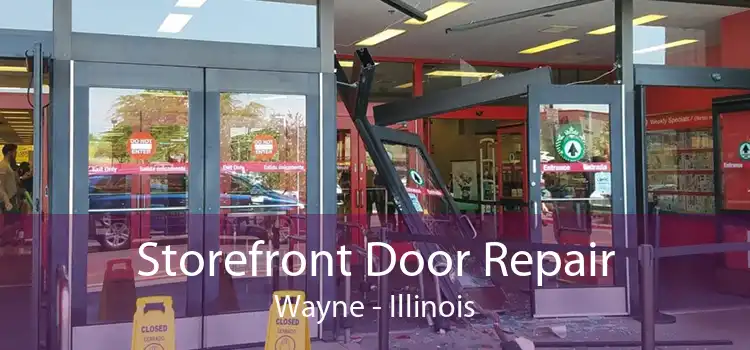 Storefront Door Repair Wayne - Illinois