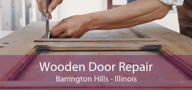 Wooden Door Repair Barrington Hills - Illinois