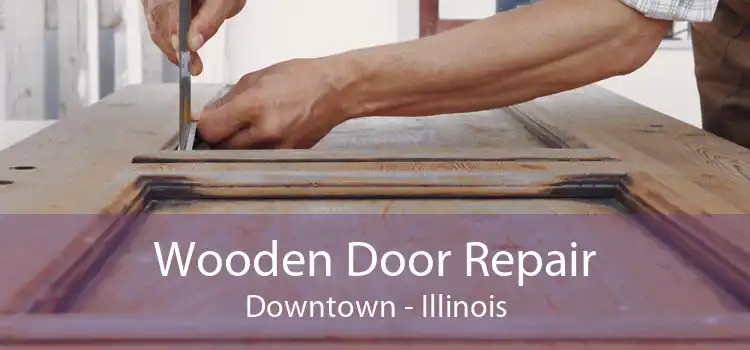 Wooden Door Repair Downtown - Illinois