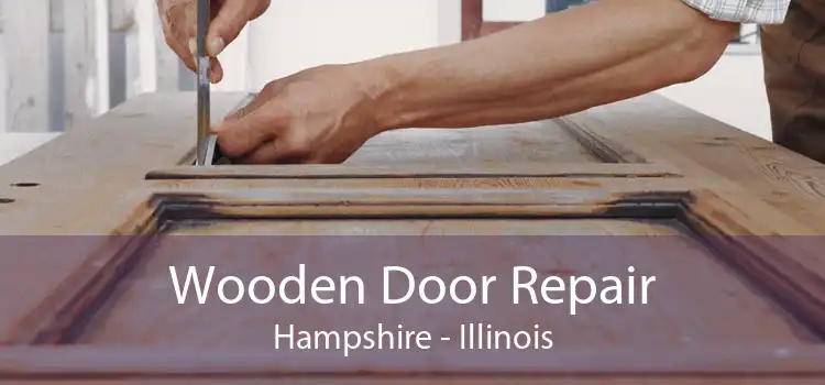 Wooden Door Repair Hampshire - Illinois