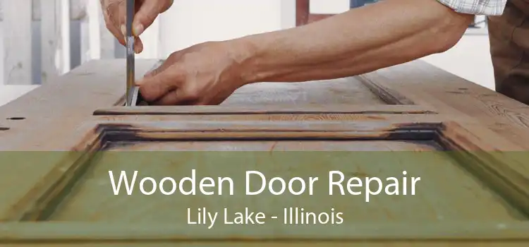 Wooden Door Repair Lily Lake - Illinois