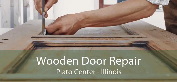 Wooden Door Repair Plato Center - Illinois